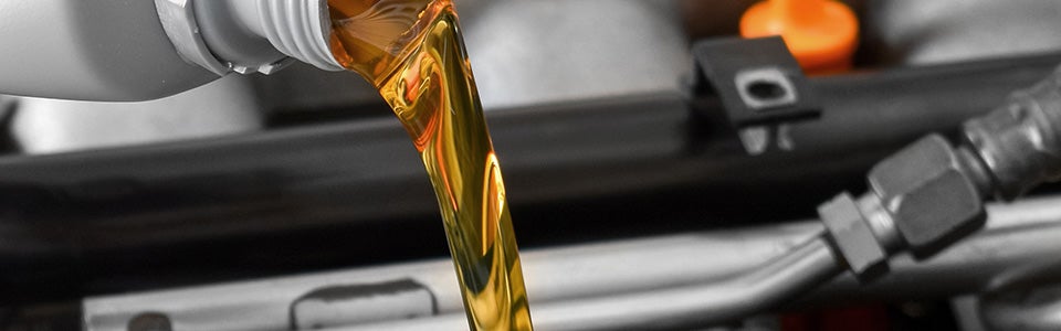 Oil & Filter Change